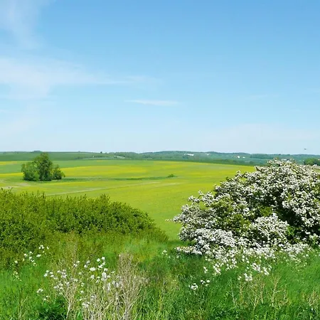 Ferienresidenz Zwei Bodden Ferienwohnung 2-6 Appartement